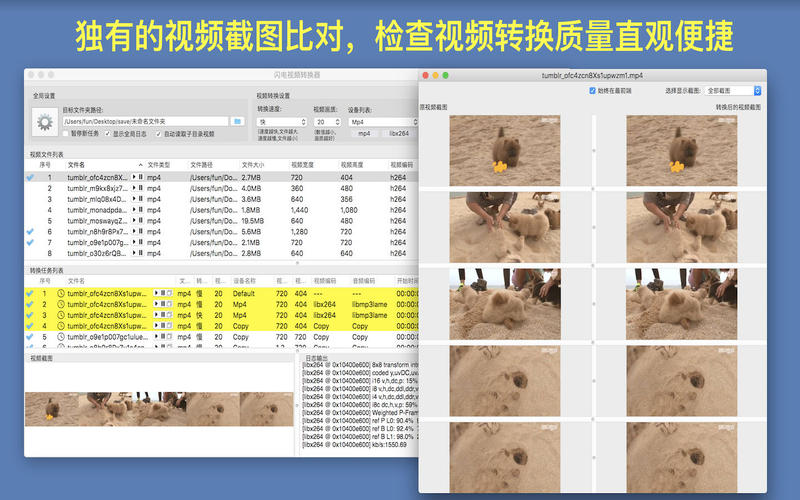 闪电视频转换器ios版截屏2