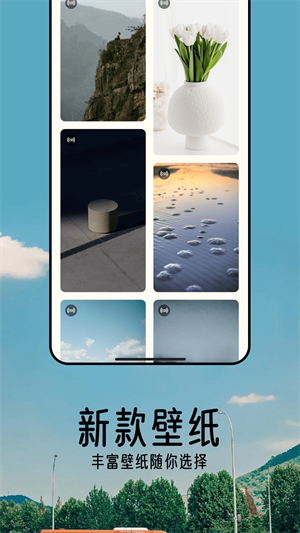 倾心壁纸安卓免费版截屏1