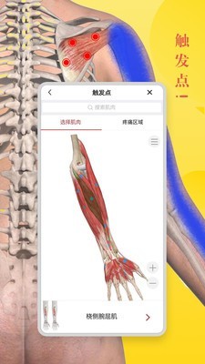 3d人体解剖学安卓汉化版截屏3